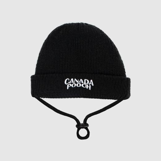 Canada Pooch Basic Beanie Black