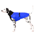 Chilly Dogs Great White North, Black Fleece with Royal Blue Shell
