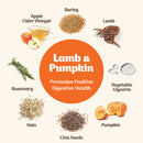 Northern Softies Lamb and Pumpkin