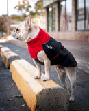 Chilly Dogs Great White North, Red Fleece with Black Shell