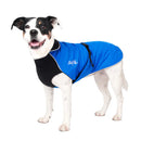 Chilly Dogs Alpine Blazer, Black Fleece with Royal Blue Shell