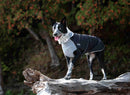 Chilly Dogs Alpine Blazer, Black Fleece with Black Shell