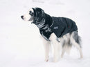 Chilly Dogs Head Muff