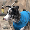 Chilly Dogs Soaker Robe Turquoise