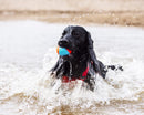 Chuckit! Amphibious Balls 3-pack