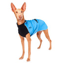 Chilly Dogs Harbour Slicker Blue Jay