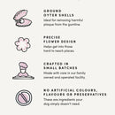 Crumps' Plaque Busters Original