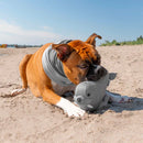 Canada Pooch Chill Seeker Cooling Pals Walrus