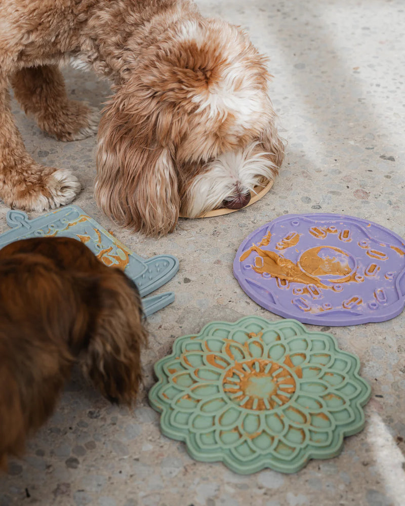 Mmm Donut Enrichment Licking Mat