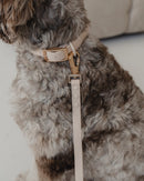Dexypaws Waterproof Dog Collar Nude