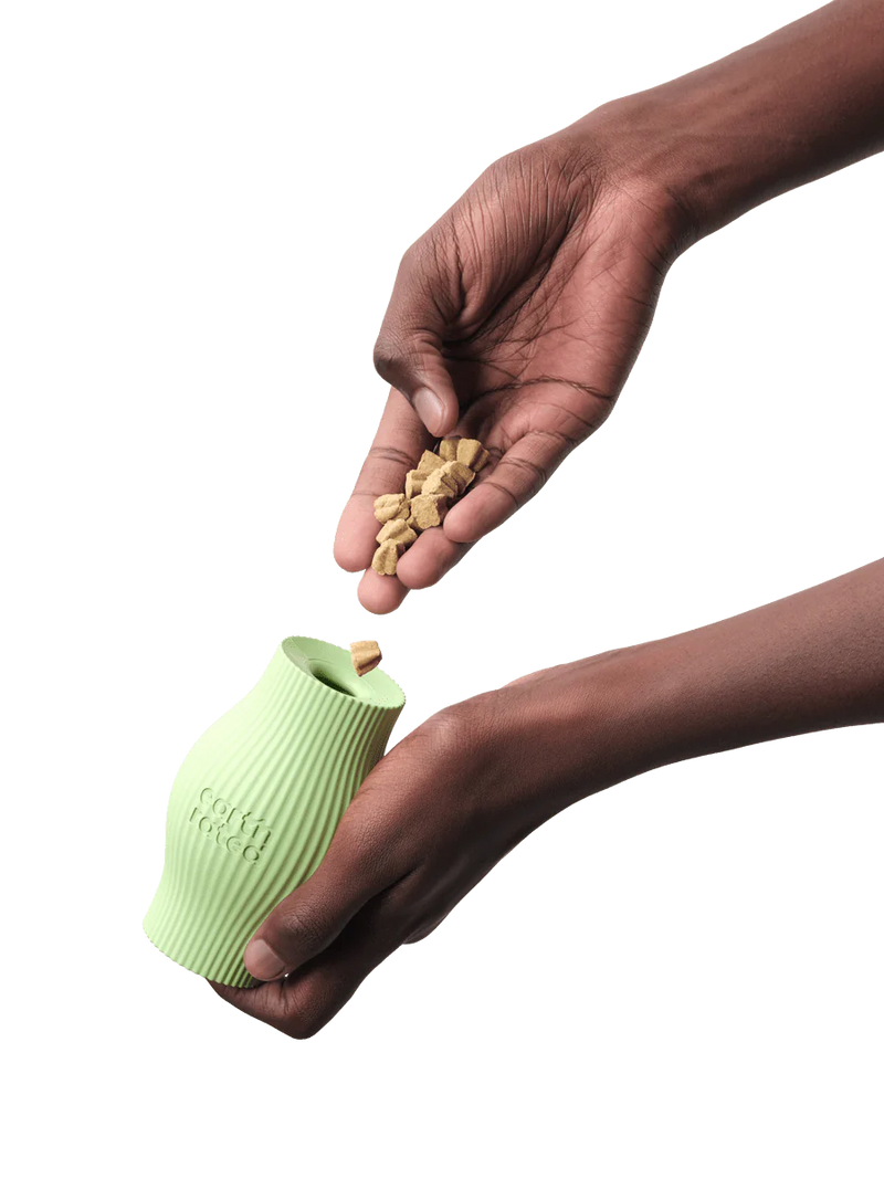 Earth Rated Dog Treat Toy