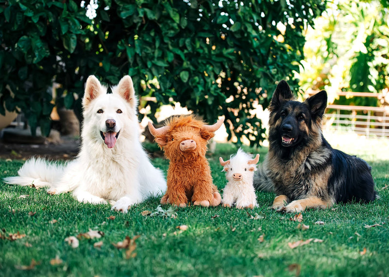 Highland Cow Dog Toy