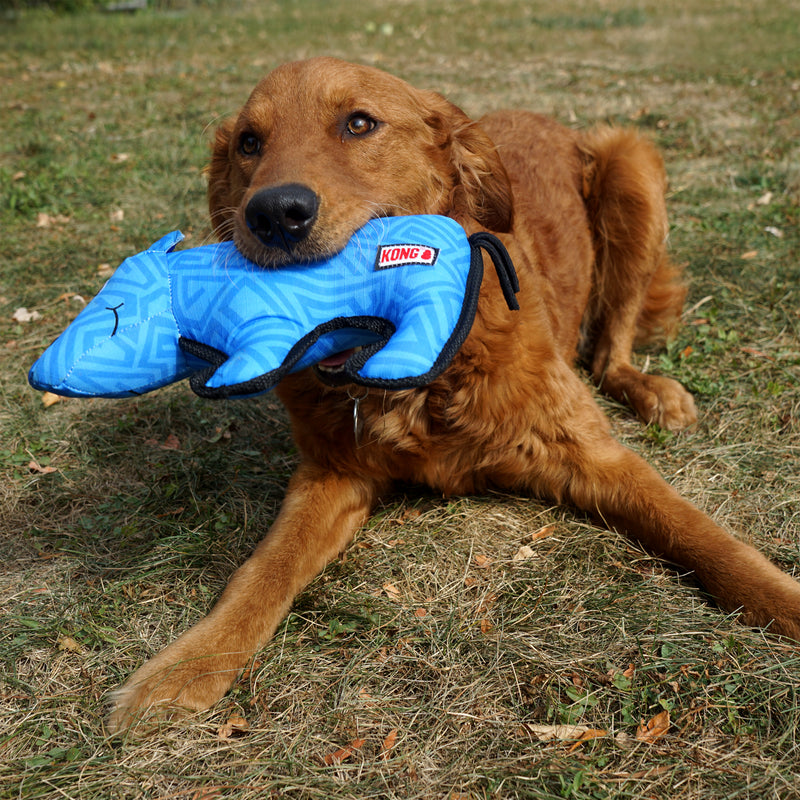 Kong Ballistic Rhino Dog Toy
