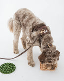 Dexypaws Waterproof Dog Collar Espresso