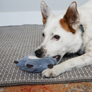 Kong Snuzzles Kiddos Sloth Dog Toy