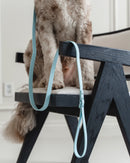 Dexypaws Waterproof Dog Leash Sky Blue