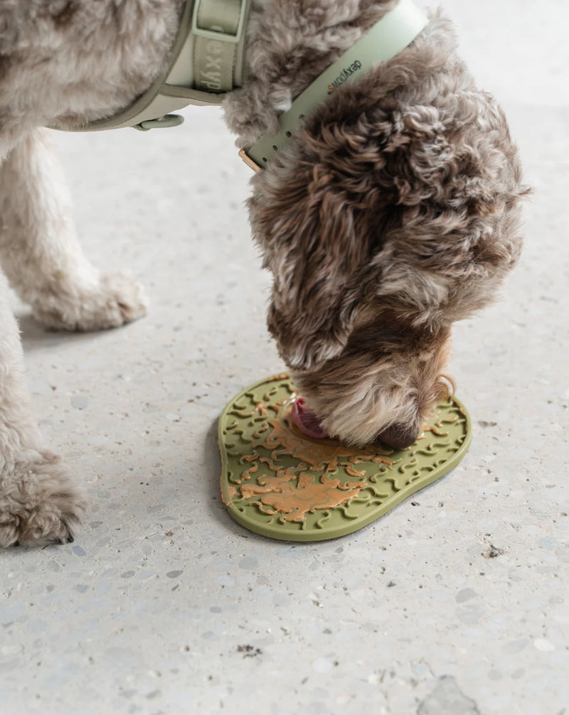 Avocado Enrichment Licking Mat