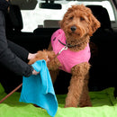 Chilly Dogs Soaker Paw Towel