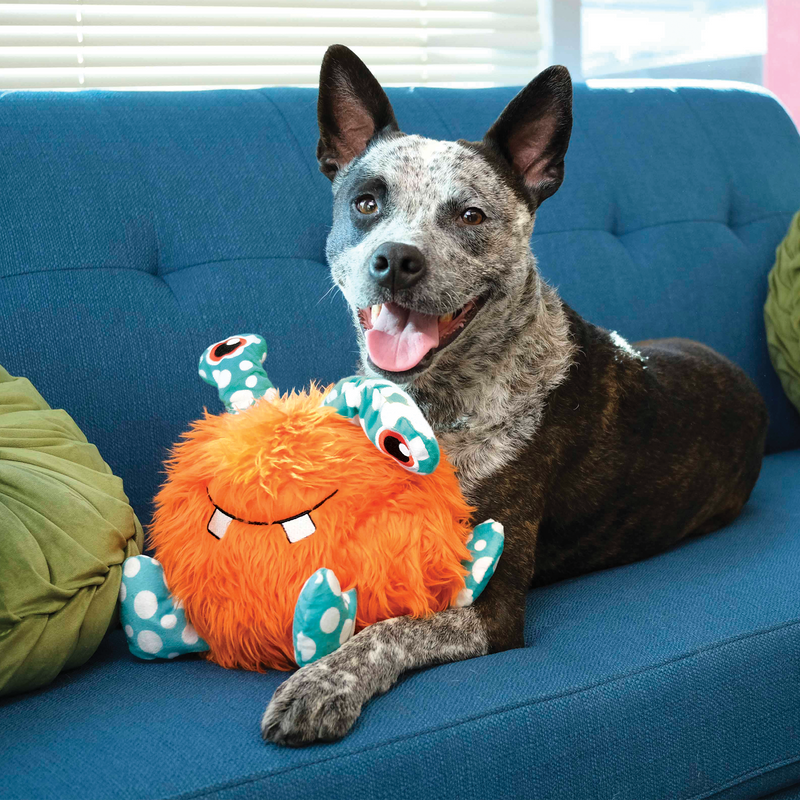 Kong Whipples Dog Toy