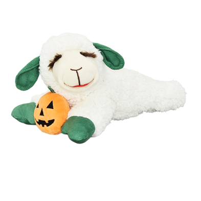 Halloween Lamb Chop Pumpkin