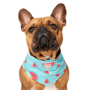 Canada Pooch Chill Seeker Bandana Watermelon