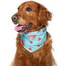 Canada Pooch Chill Seeker Bandana Watermelon