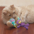 Kong Birthday Teddy Cat Toy