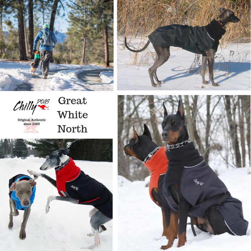 Chilly Dogs - Great White North Winter Coat Black/Black Shell