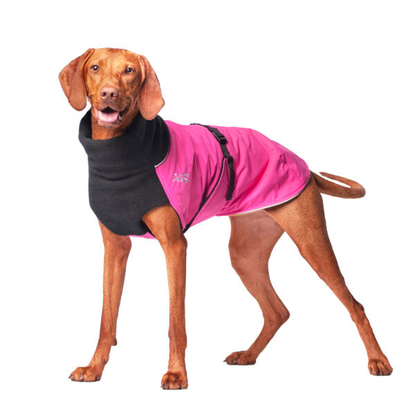 Chilly Dogs - Great White North Winter Coat Black/Bubblegum Shell