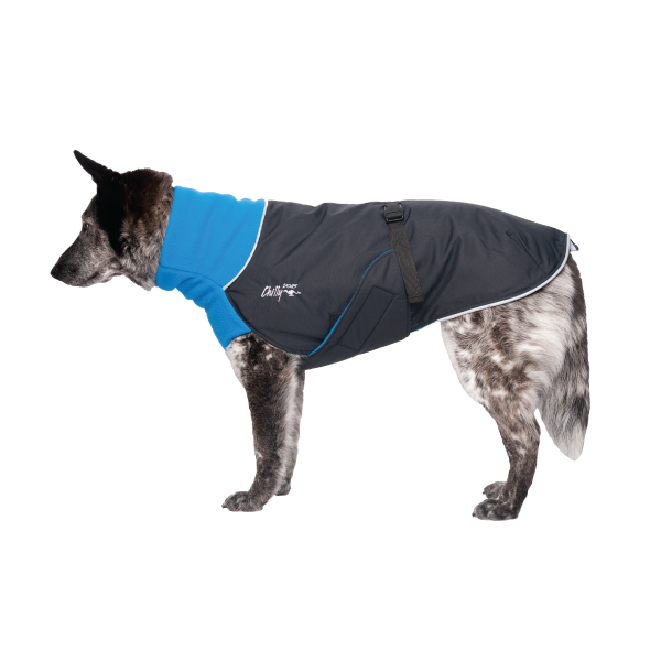 Chilly Dogs - Great White North Winter Coat Blue Jay/Black Shell