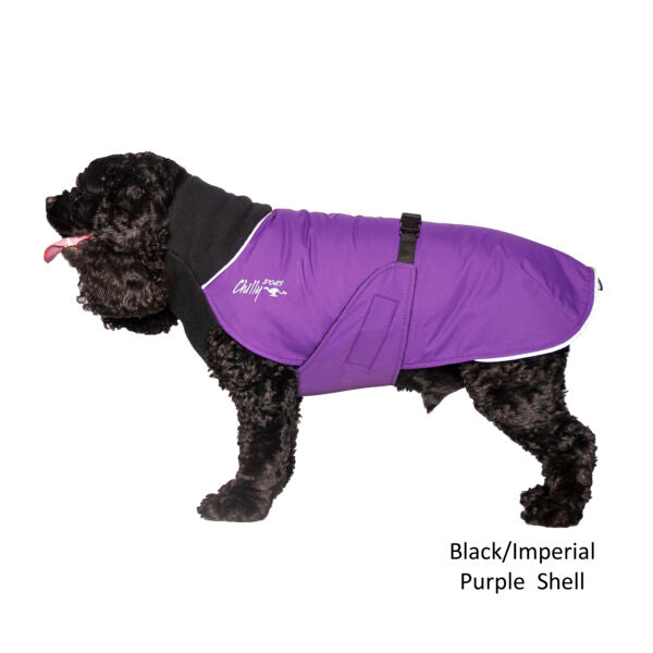 Chilly Dogs - Great White North Winter Coat Black/Imperial Purple Shell
