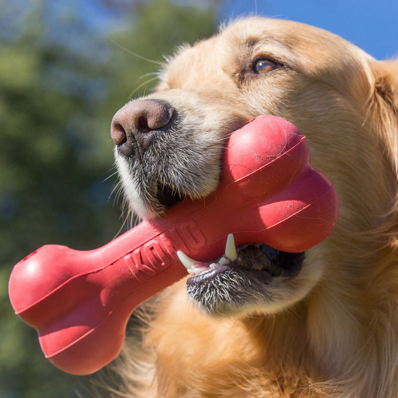 Kong classic goodie bone on sale