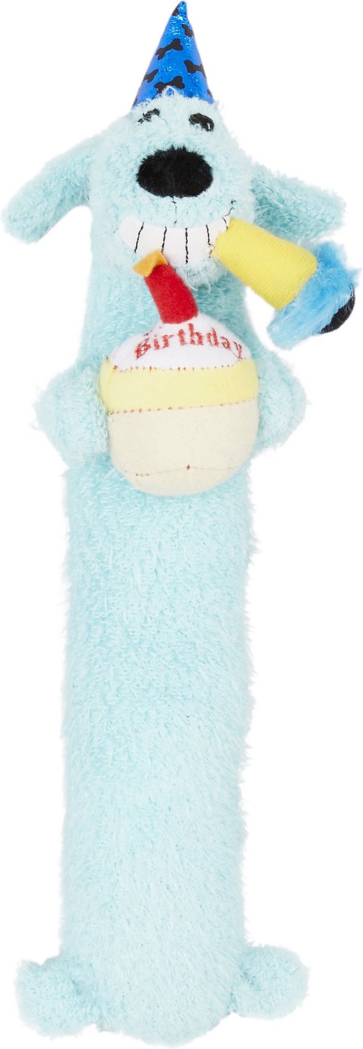 Squeaky Birthday Dog Toy