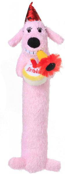 Squeaky Birthday Dog Toy