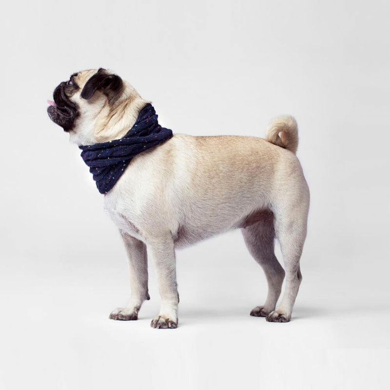 Canada Pooch Cableknit Scarf Blue