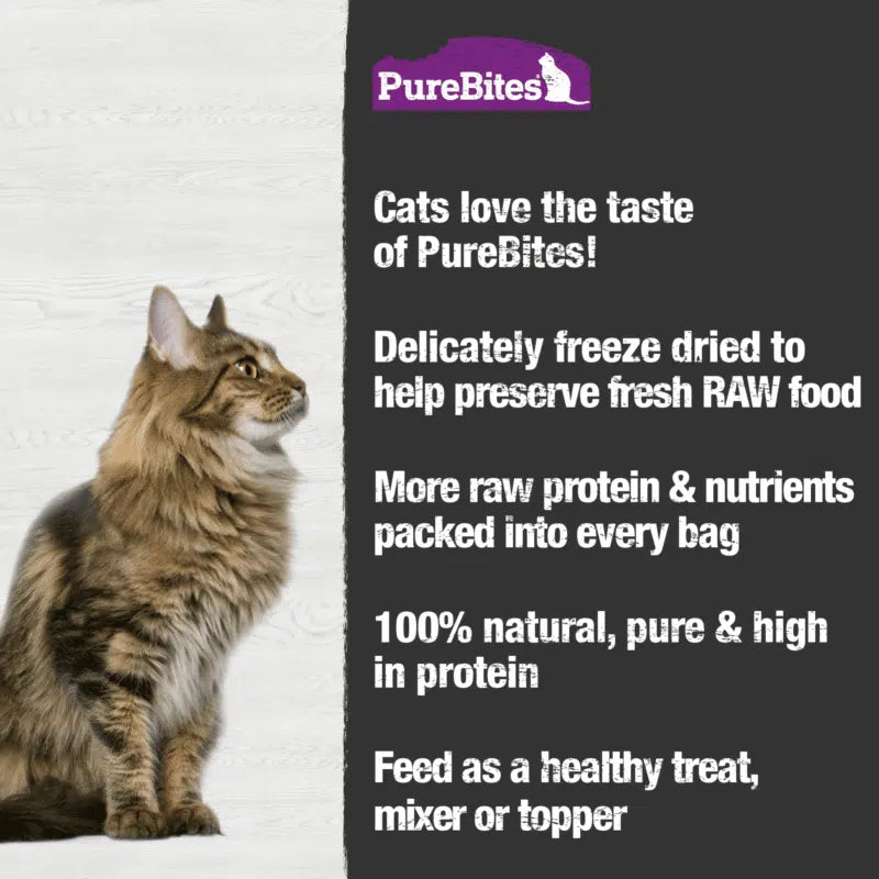 Purebites Freeze Dried Ocean Whitefish Cat Treats