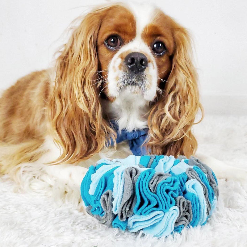 Snuffle Ring Hide and Seek Dog Toys