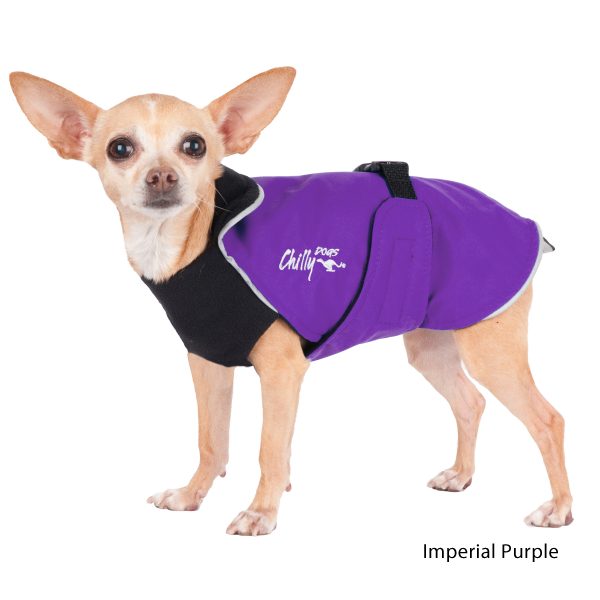 Chilly Dogs - Alpine Blazer Black/Imperial Purple Shell