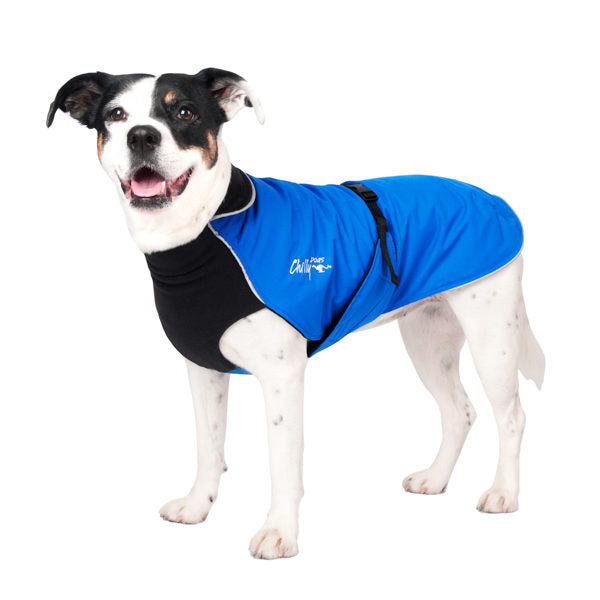 Chilly Dogs - Alpine Blazer Black/Royal Blue Shell