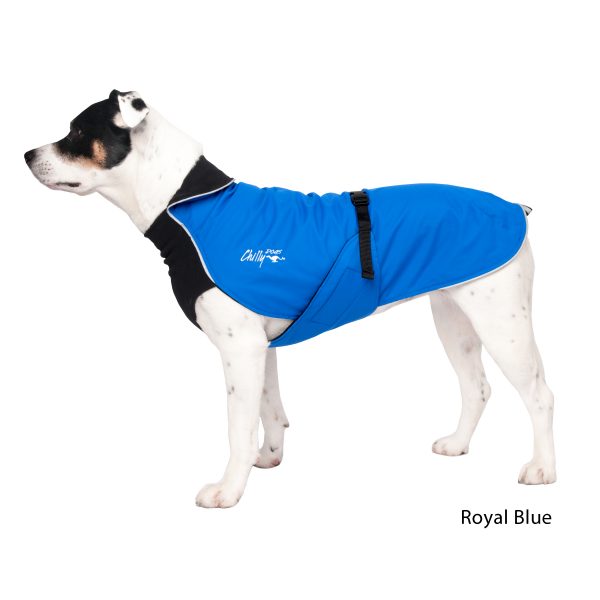 Chilly Dogs - Alpine Blazer Black/Royal Blue Shell