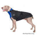 Chilly Dogs - Alpine Blazer Royal Blue/Black Shell