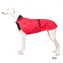 Chilly Dogs - Alpine Blazer Black/Red Shell