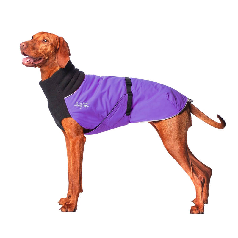 Chilly Dogs - Great White North Winter Coat Black/Imperial Purple Shell