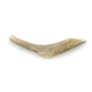 This and That Whole Antler Chew