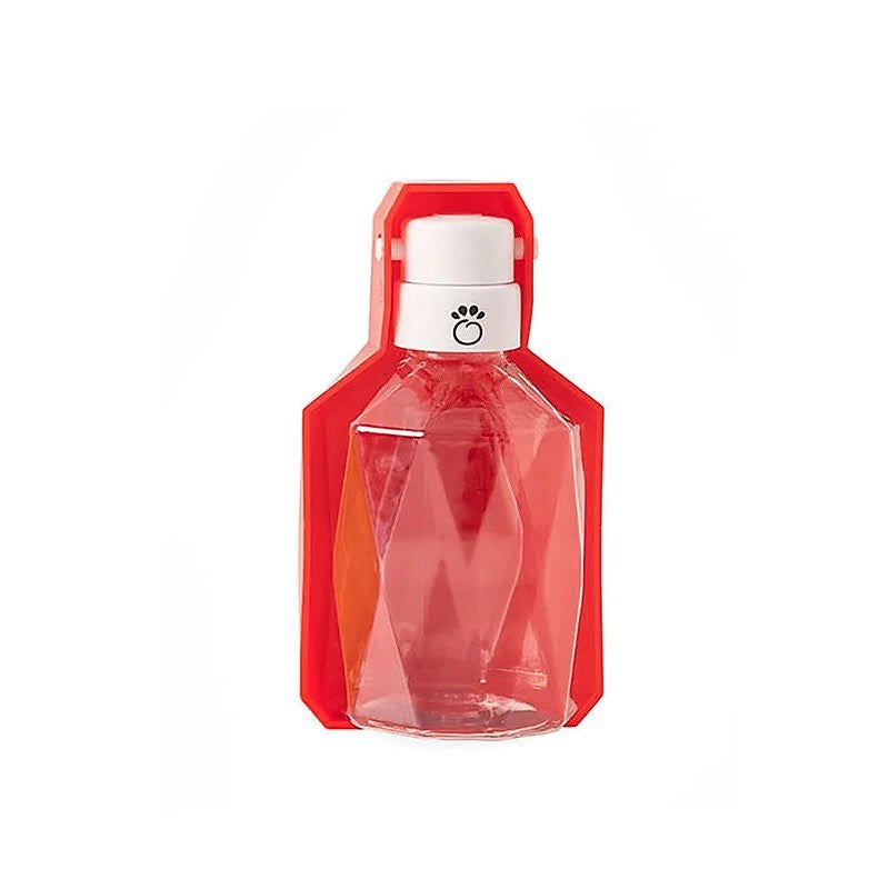 Travel Water Bottle