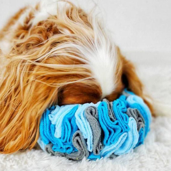 Snuffle Ring Hide and Seek Dog Toys
