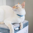 New Earth Soy Breakaway Cat Collar Pumpkin with Stripes