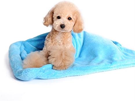 2-in-1 Blanket Bed Dog Sleeper