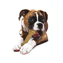 Nylabone Extreme Barbell  Dog Toy