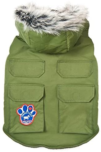 Canada Pooch Everest Explorer Jacket Green